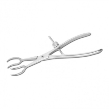 Forceps Four Prong